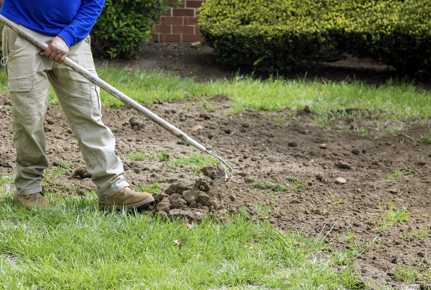 Smooth Operator: The Science of Lawn Leveling & Fixing Bumpy Turf