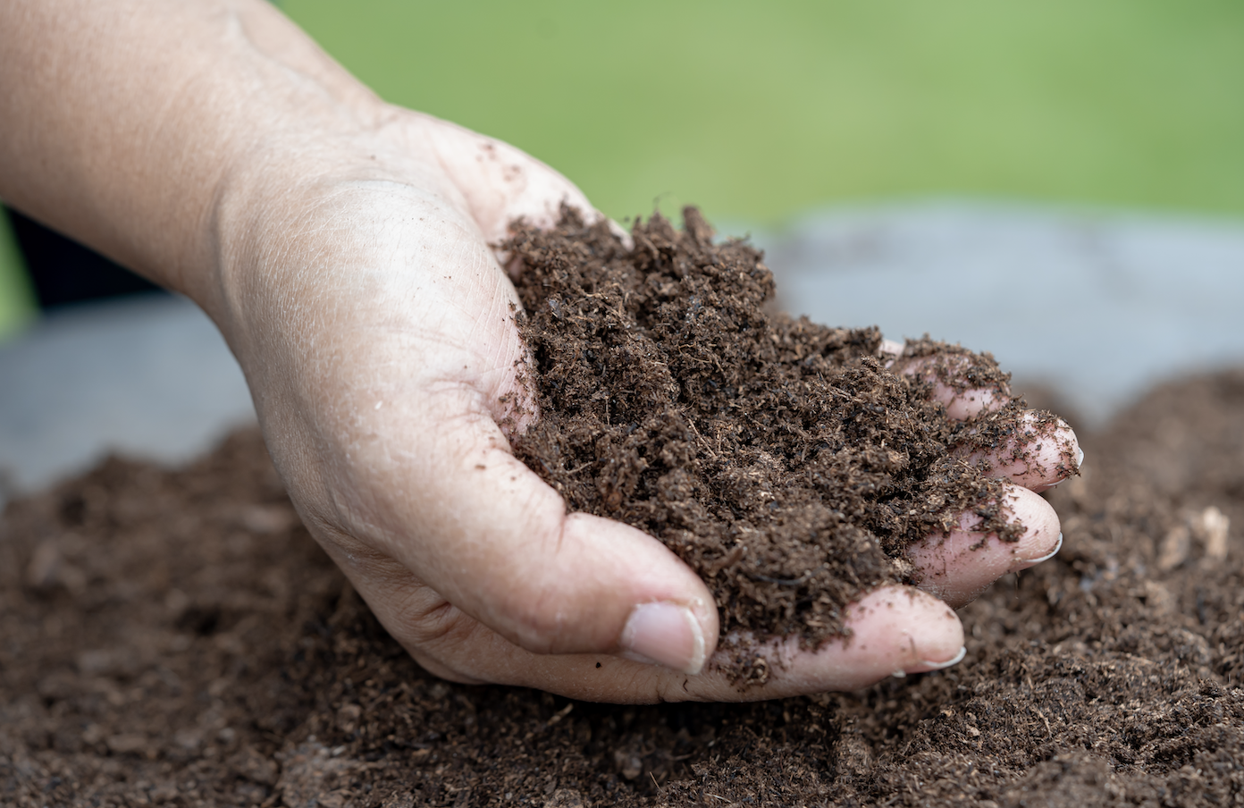 Organic matter