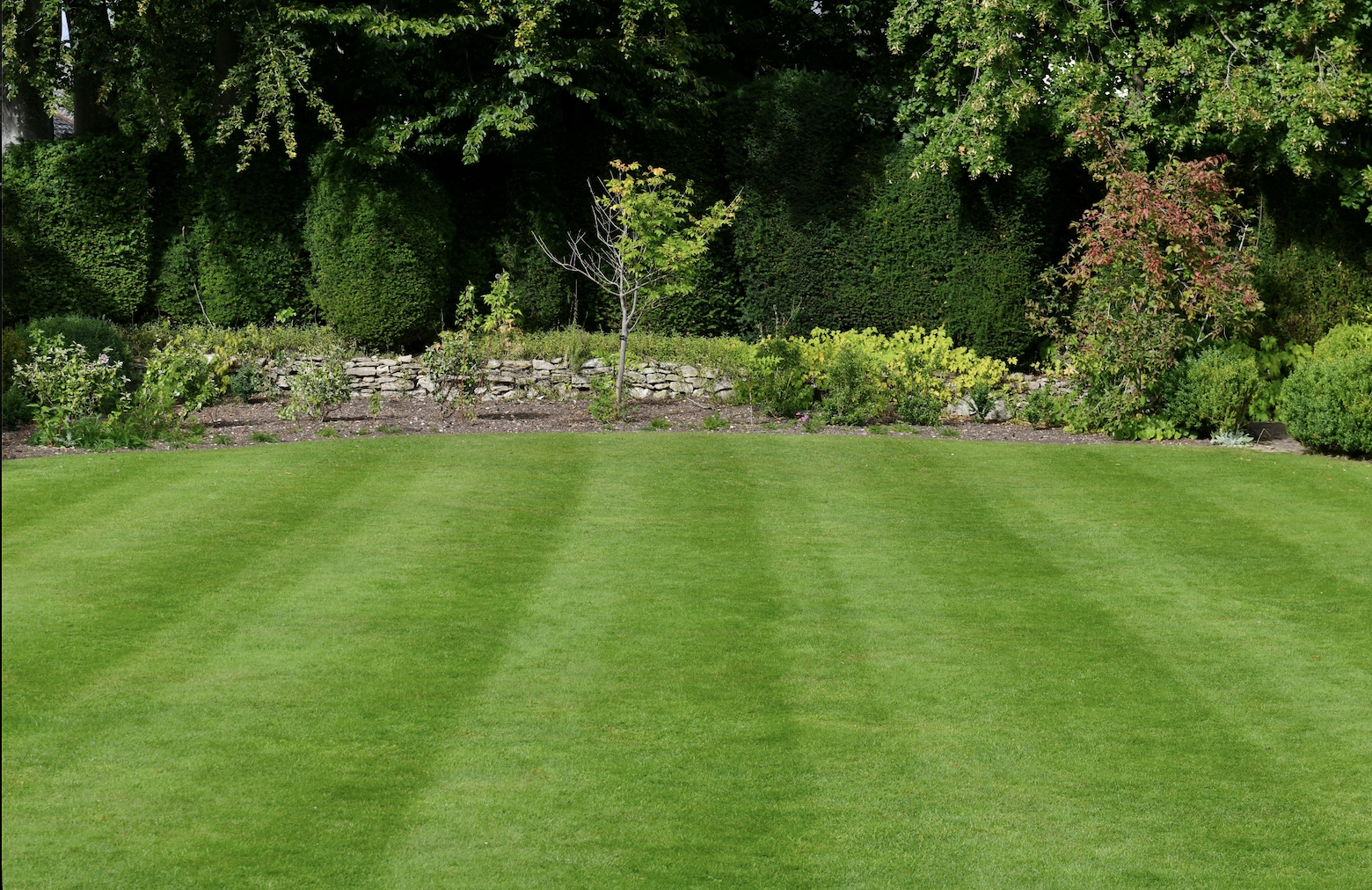 Overseeding
