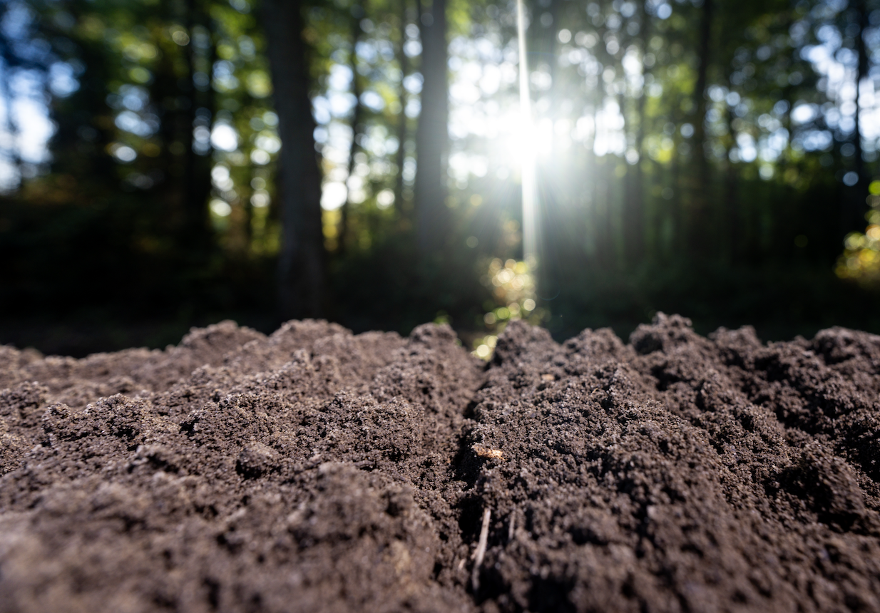 Feed the Soil, Not Just the Grass: The Power of Compost Top-Dressing
